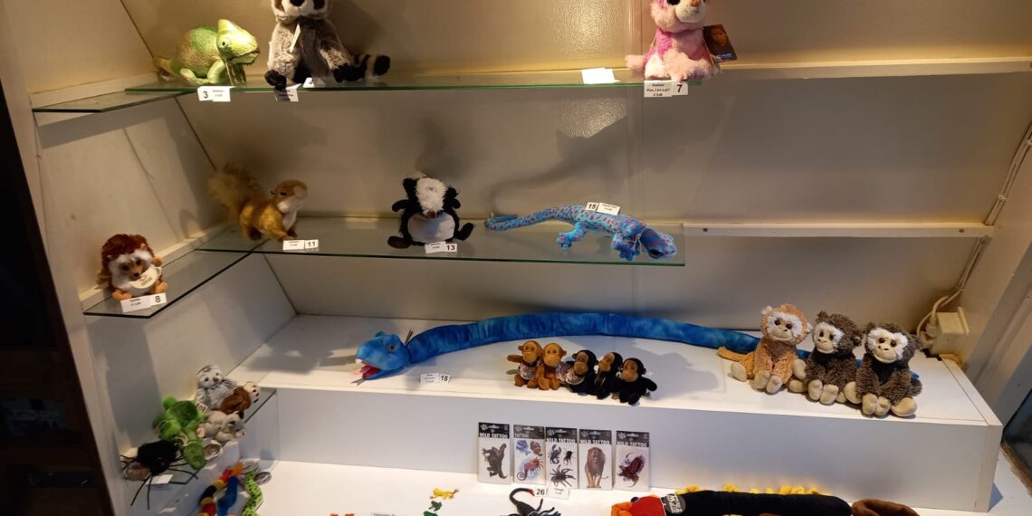 Twaalf kilo aan souvenirs van Artisklas ‘verdwenen’: “Dit slaat echt nergens op”