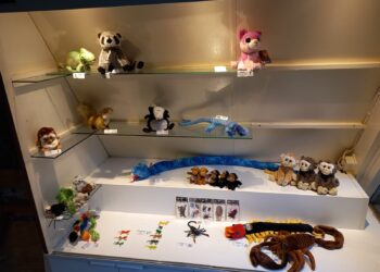 Twaalf kilo aan souvenirs van Artisklas ‘verdwenen’: “Dit slaat echt nergens op”