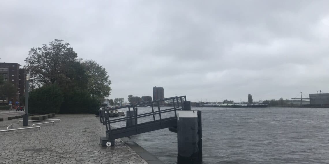 Haarlemse raad verwelkomt extra asielzoekers, maar ‘Rijk moet tekort oplossen’