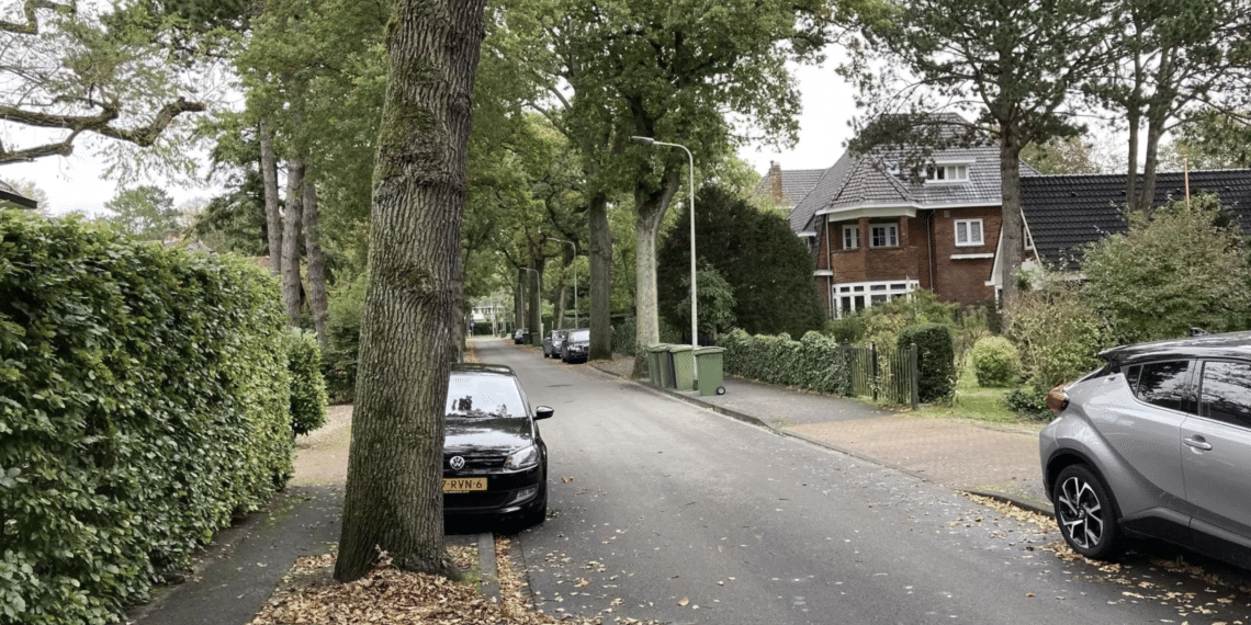 Vijf straten in Aerdenhout nog weken in het donker