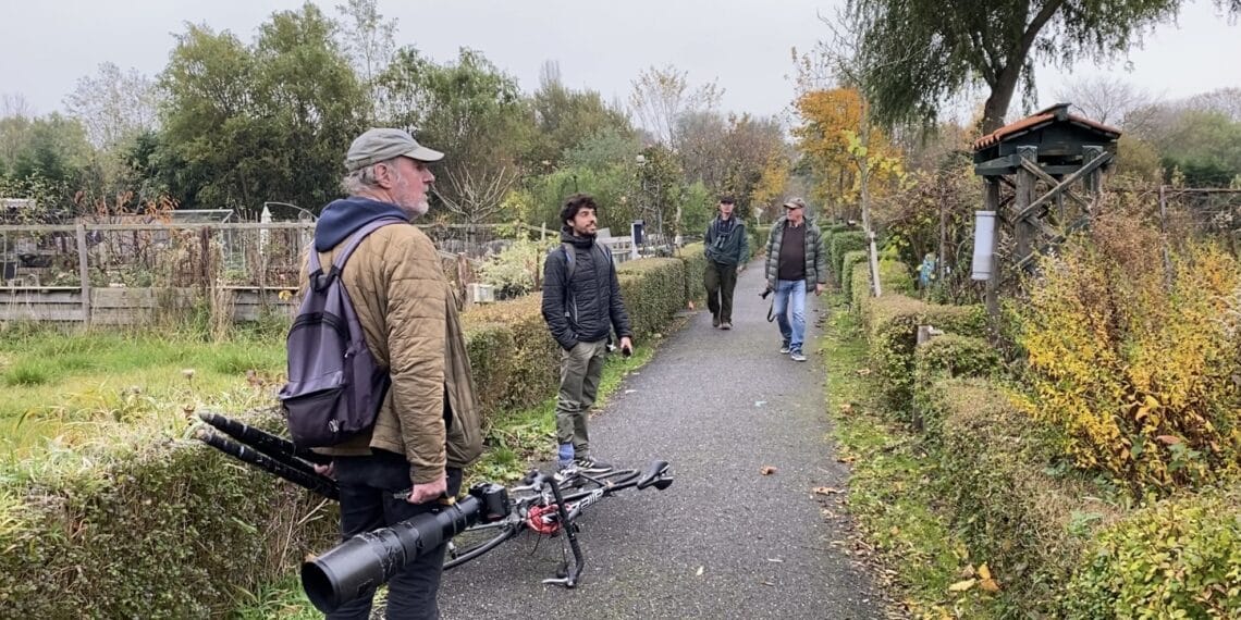Vogelaars hopen op glimp van hop: “Zou nu in Spanje moeten zitten”