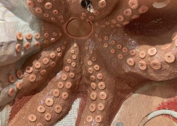 Douchen onder een inktvis of een draak, logeren bij Willemijn is een ware belevenis