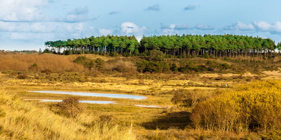 Plannen De Lakens afgewezen: Camping zegt geen info te hebben gehad, gemeente Bloemendaal zegt van wel