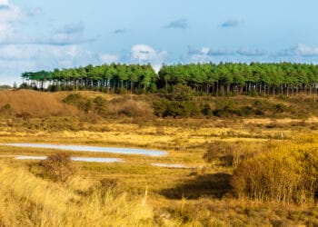 Plannen De Lakens afgewezen: Camping zegt geen info te hebben gehad, gemeente Bloemendaal zegt van wel