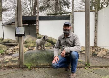 Artisklas in zwaar weer: Haarlemmers in actie