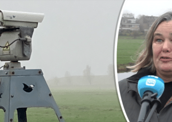 Haarlemse in strijd tegen ganzenjacht bij woonwijk: “Muur van weerstand tegen laserapparaat”