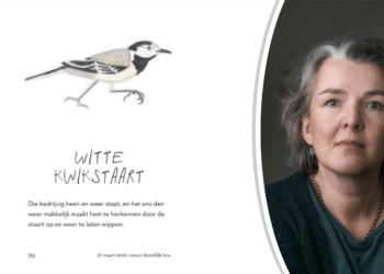 Van literatuur naar tureluur: schrijfster Nicolien Mizee schrijft vogelboek met eigen tekeningen
