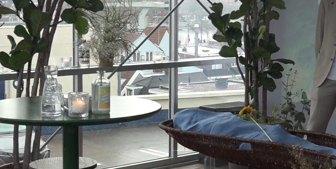 Afscheid van buurtstrijder Haarlemse Rozenprieel met uitzicht op zijn geliefde stad