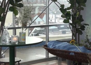 Afscheid van buurtstrijder Haarlemse Rozenprieel met uitzicht op zijn geliefde stad