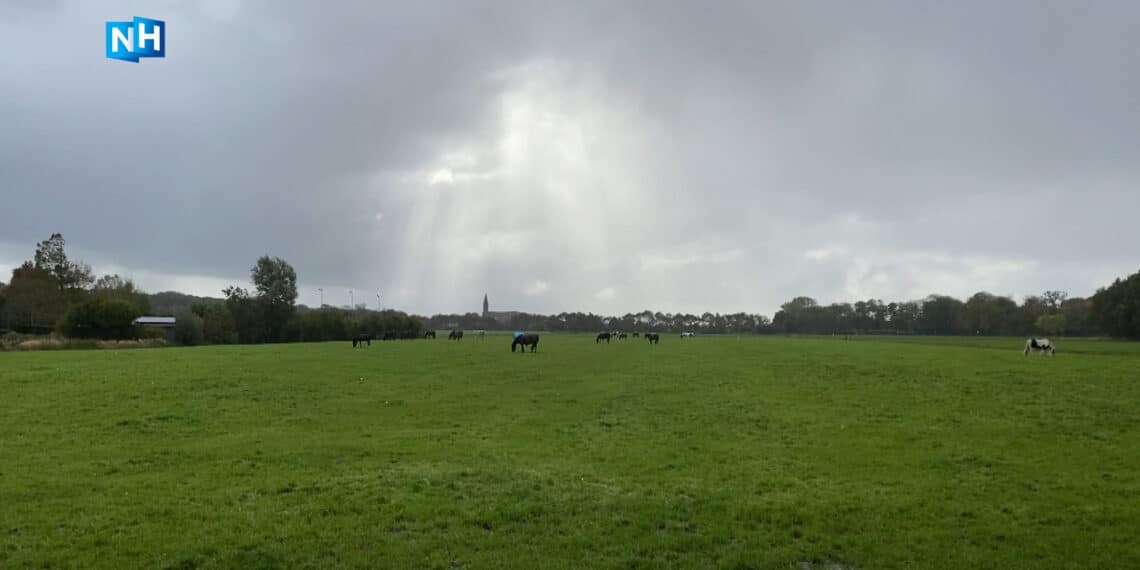 Lichtpuntje voor paar landeigenaren Vogelenzang, grenzen natuurnetwerk aangepast