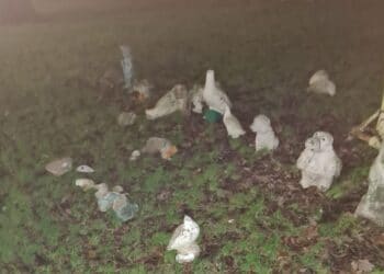 Beeldentuin op plantsoen Spaarndamseweg tot drie keer toe vernield