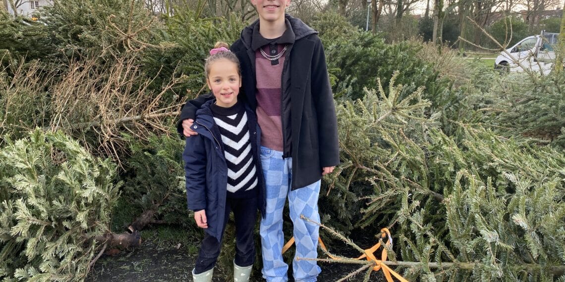 Kids zamelen honderden kerstbomen in: “Toch nog iets te doen in de vakantie!”