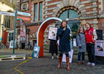 Houtfestival wil meer binding met Haarlem: “We hopen dat die liefde wederzijds is”