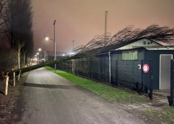 Boom valt op dak honk-en softbalvereniging Schoten