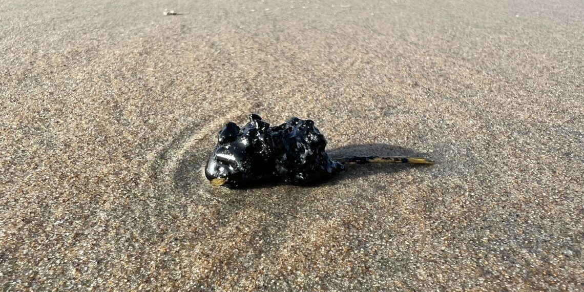 Stinkende en plakkende bolletjes olie aangespoeld op stranden Bloemendaal en Zandvoort
