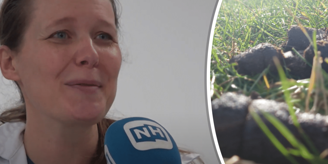 Dierenarts waarschuwt voor ‘giftige’ hondenpoep: “Niet opruimen is gevaarlijk!”
