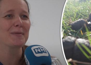 Dierenarts waarschuwt voor ‘giftige’ hondenpoep: “Niet opruimen is gevaarlijk!”