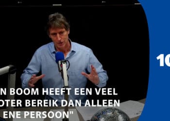 Haarlemse bomen, het zijn er heel veel maar het lijken er steeds minder te worden