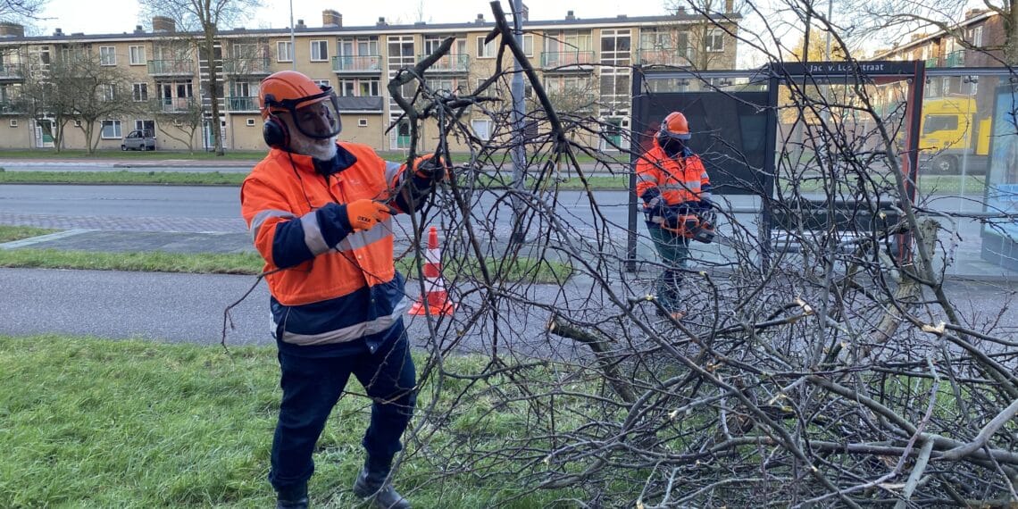 Oproep aan Haarlemmers: ga komende dagen niet naar parken