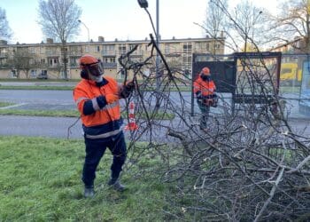Oproep aan Haarlemmers: ga komende dagen niet naar parken