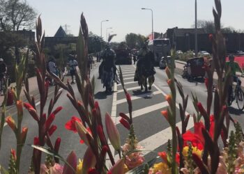 De organisatie is er enorm blij mee: De Bloemencorso kan weer doorgaan!
