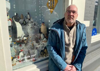 Pinguïnverzameling in Kleinste Museum Haarlem: “Mooiste exemplaar thuis is skelet”