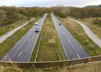Weer ongeluk op Zeeweg, dit keer motorrijder zwaargewond na missen flauwe bocht