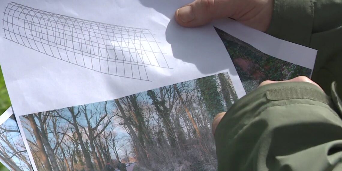 Vrienden Bloemendaalse bos bouwen vluchttunnel voor kleine bosdieren