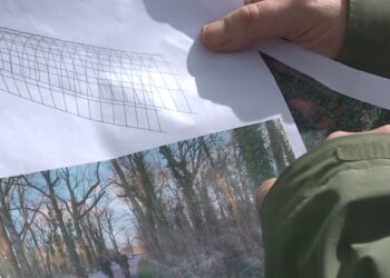 Vrienden Bloemendaalse bos bouwen vluchttunnel voor kleine bosdieren