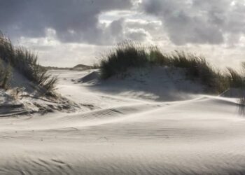 Henk Wijkhuisen (D66 Bloemendaal) is blij met de monumentale status voor bunkers: “Veel bunkers liggen onder het zand.”