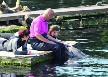 50 jaar ‘De Baan’ voor mensen met een beperking: “Iedereen kan hier zichzelf zijn”