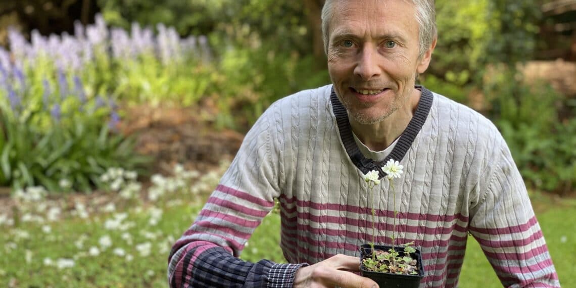 Zeldzaam Haarlems klokkenspel terug van weggeweest: “Afgelopen 15 jaar aan gewerkt”