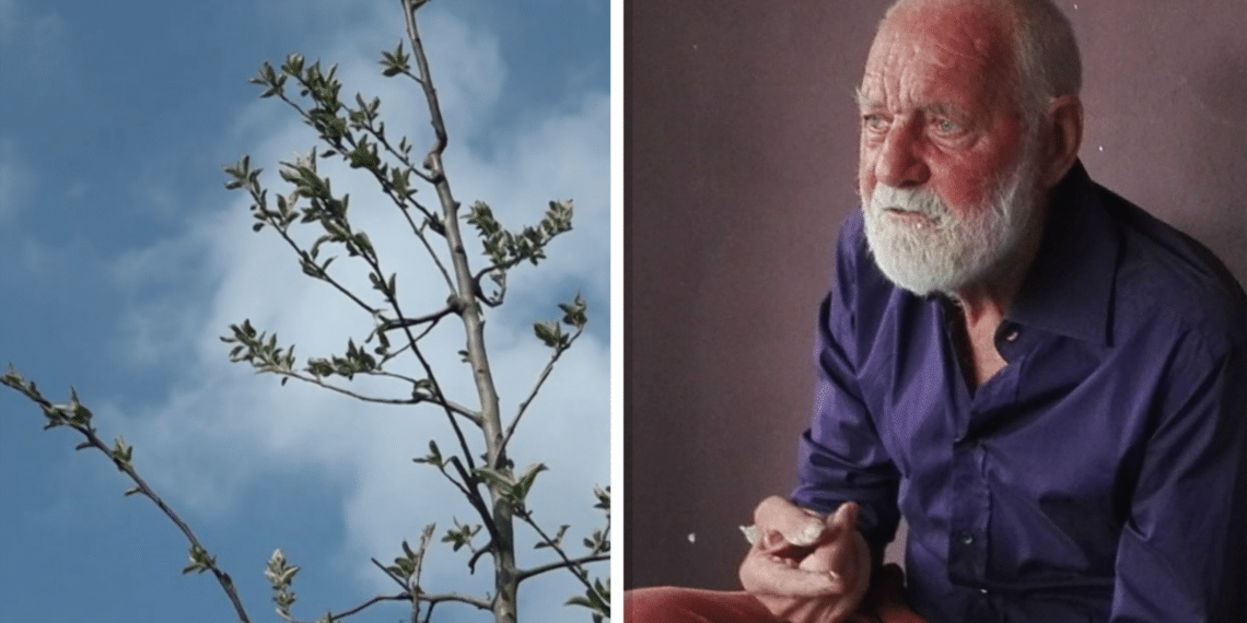 Groen monument voor wijkactivist: “Een wilde appelboom, want hij was ook wel een wilde man”