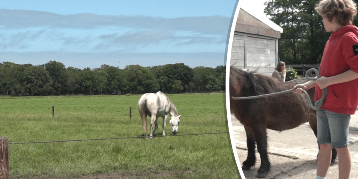 Kinderen leren over Vogelenzangse strandvlakte dat onder druk staat door stikstofbeleid