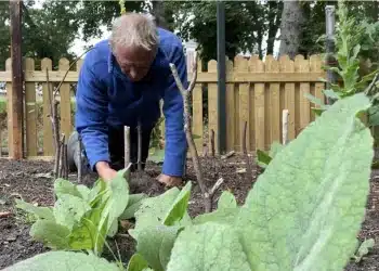 Zeldzame witte truffel gevonden in Heemstede: ‘Waarschijnlijk eeuwenoud’