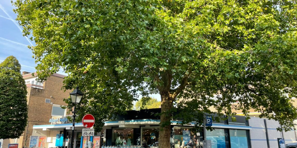 Luister terug: Ons Bloemendaal hoopt op aanpassingen bouwplannen appartementencomplex: “Met die hoogte wordt het een massaal gebouw”