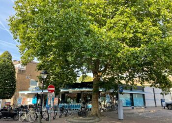 Luister terug: Ons Bloemendaal hoopt op aanpassingen bouwplannen appartementencomplex: “Met die hoogte wordt het een massaal gebouw”