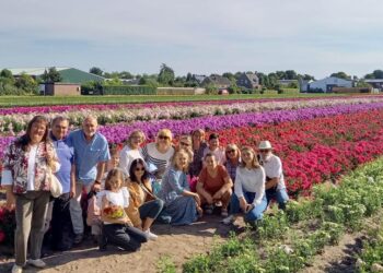 Luister terug: Wandelingen Haarlem4Ukraine groot succes: “Ik denk graag met de gemeente mee om het ook voor andere vluchtelingen te organiseren”