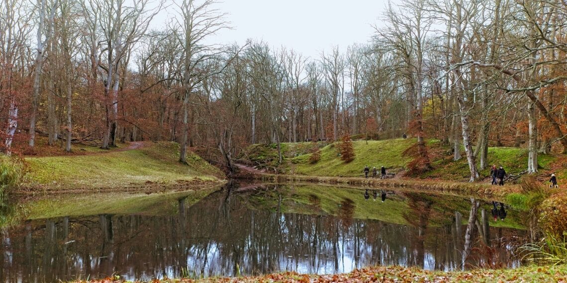Ton Belderok wordt de nieuwe klimaatburgemeester van Haarlem: “Het klimaat is van ons allemaal”