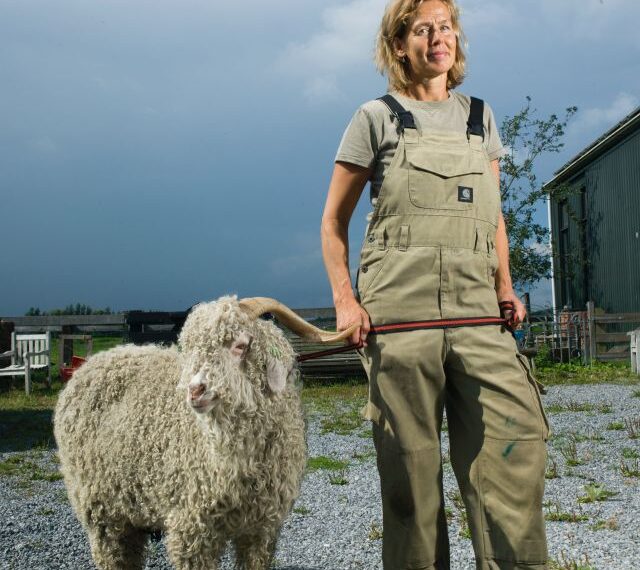 Boerin Reina maakt duurzame truien in de strijd tegen ‘fast fashion’