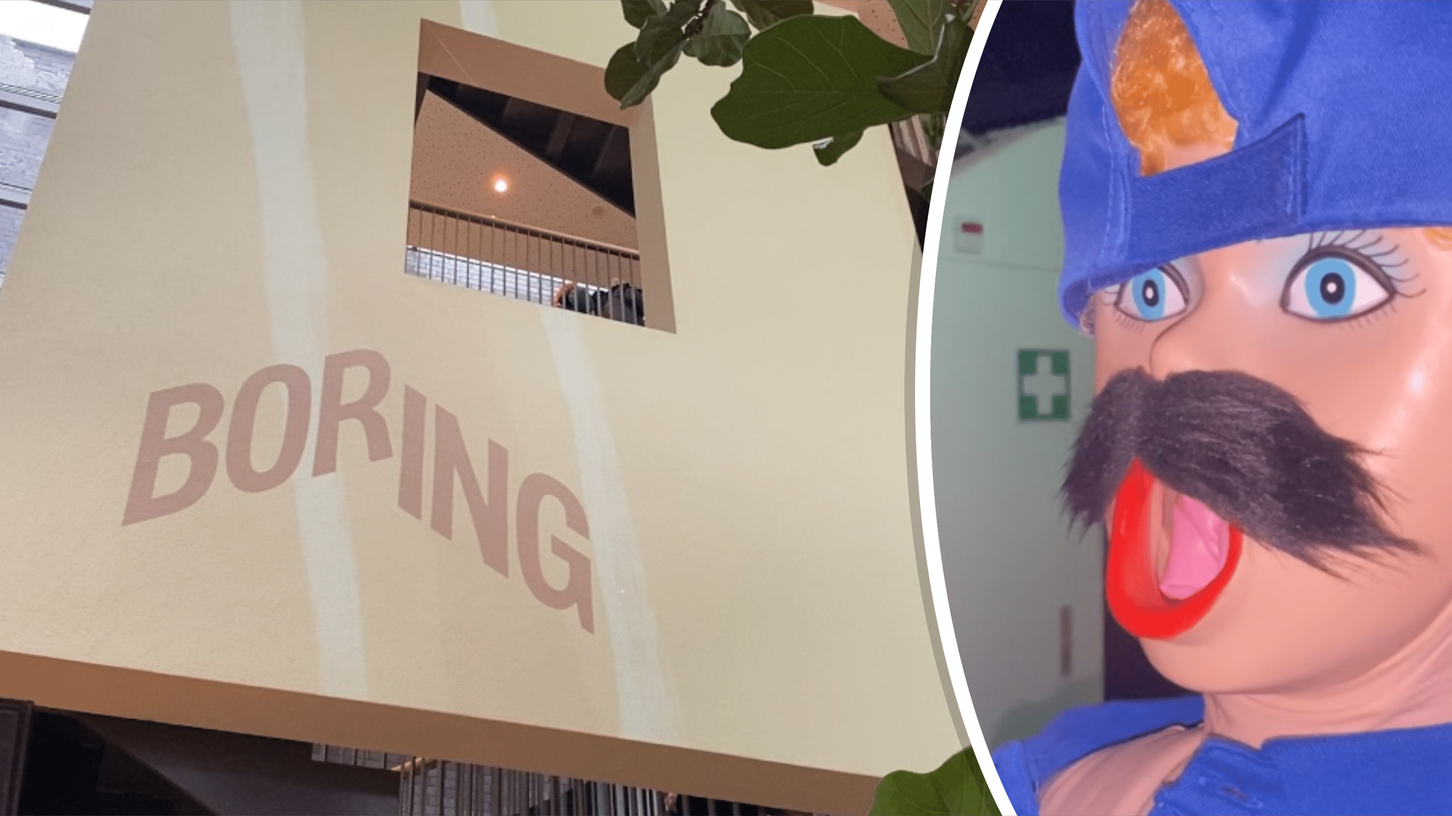 Boring festival alles behalve saai: “Dit moet een jaarlijks festival worden”