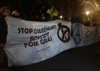 Nova voert actie bij restaurants die ganzenlever serveren: “Waarom moeten ganzen worden mishandeld?”