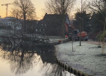 Eindelijk helderheid over de toekomst van omgewaaide beuk – tóch ruimte voor circulaire verwerking