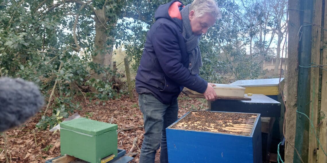 Bijensterfte treft ook Heemsteedse imker Pim Lemmers: “Het is enorm klote, ik kan wel janken”