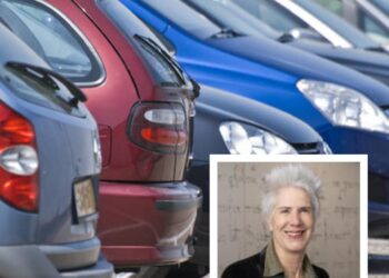 Louise van Zetten, Hart voor Haarlem, over plannen betaald parkeren: “Ik vind dat ik zelf wel kan bepalen wat goed voor me is”