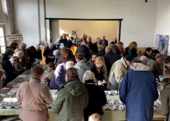 Ruilen of stemmen? Spaarndam is in dubio: “We kiezen voor plaatjes niet voor praatjes”