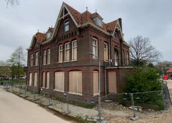 Liever markt dan bloederige beesten: nieuwe bewoners ontmoeten elkaar in slachthuis