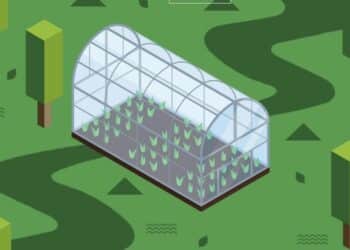 Meemaaktuin in Noord van start