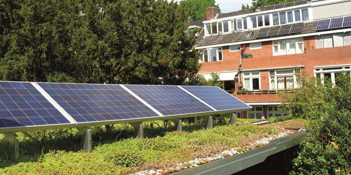 Groene daken krijgen subsidie in gemeente Bloemendaal: “Het geeft enorme isolatiewaarde”