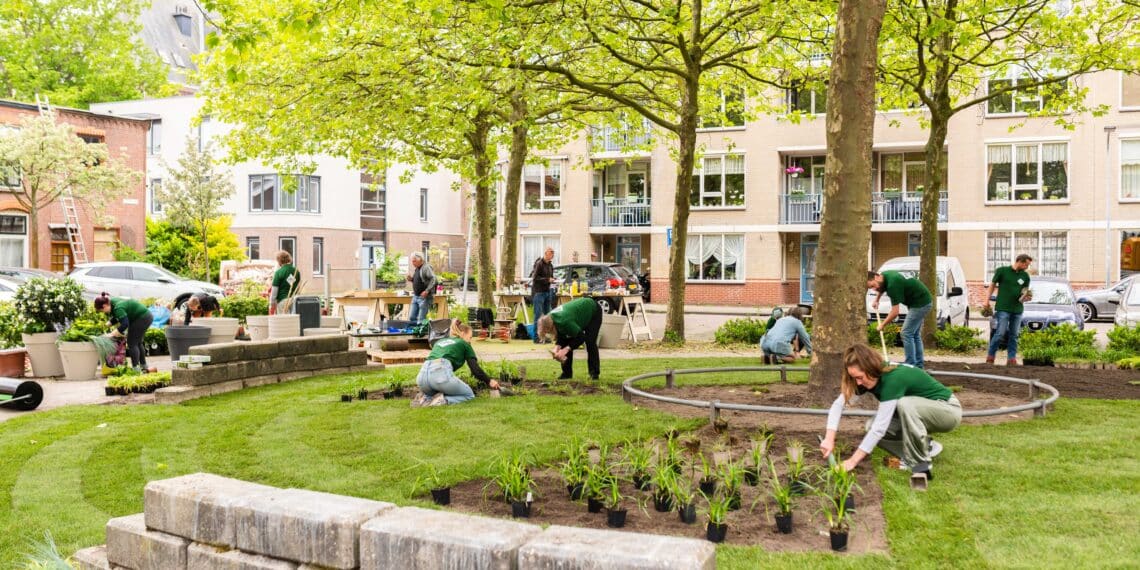 Buurtbewoners transformeren grijs plein in Haarlem-Noord naar groene oase